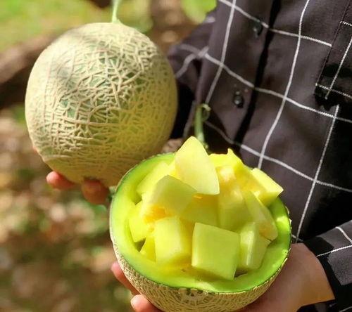 娱乐圈最近有什么瓜可以吃,明星秘闻大揭秘！